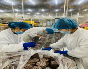 ​4月15日，菲特公司的经营团队深入生产车间